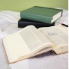 Dutch HSV Notebook Bible - Olive green