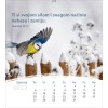 Kroatische ansichtkaartenkalender 2025 - Leven voor jou
