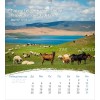 Mongolian postcard calendar 2025 - Life for you