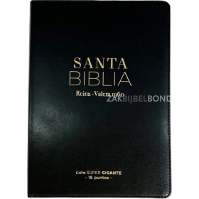 Spanish Bible RVR 60 - Letra Súper Gigante