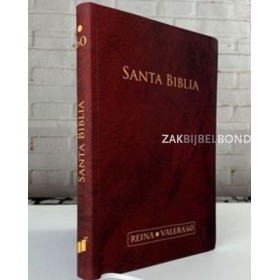 Spaanse Bijbel RVR60 hardcover