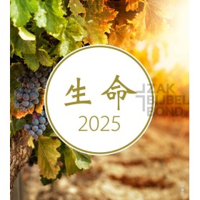 Chinese postcard calendar 2025