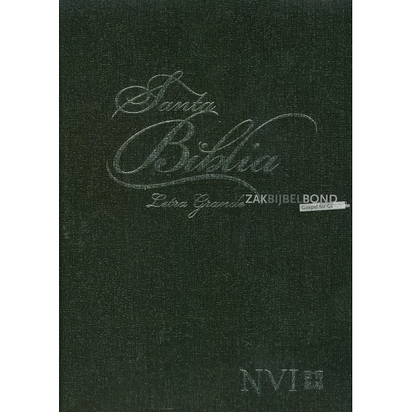 Spanish Bible NVI Large Print